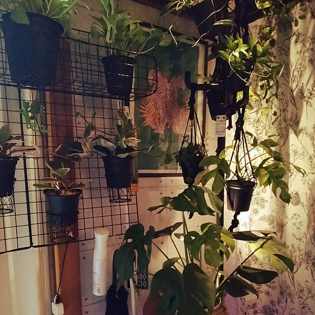 runaさんの部屋