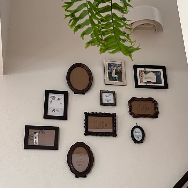 greycatsさんの部屋