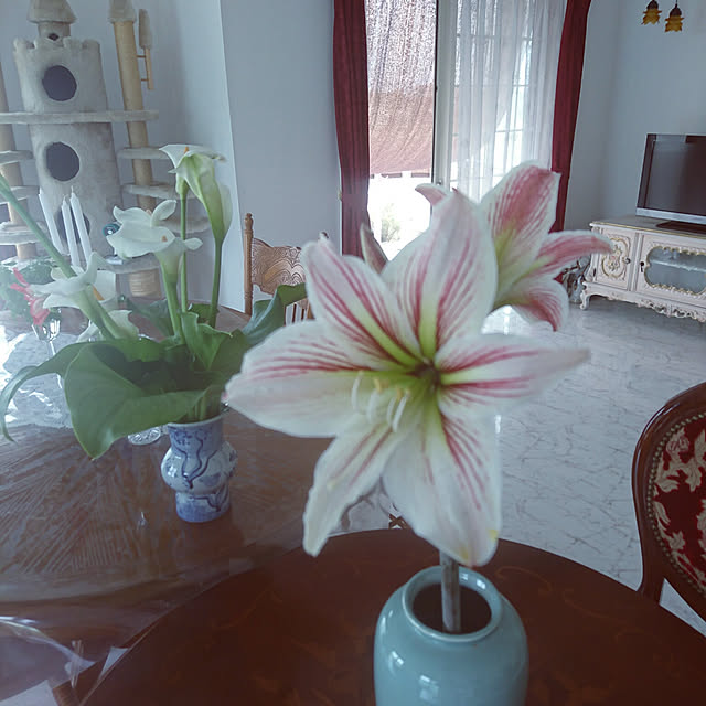 DailyRoomclip