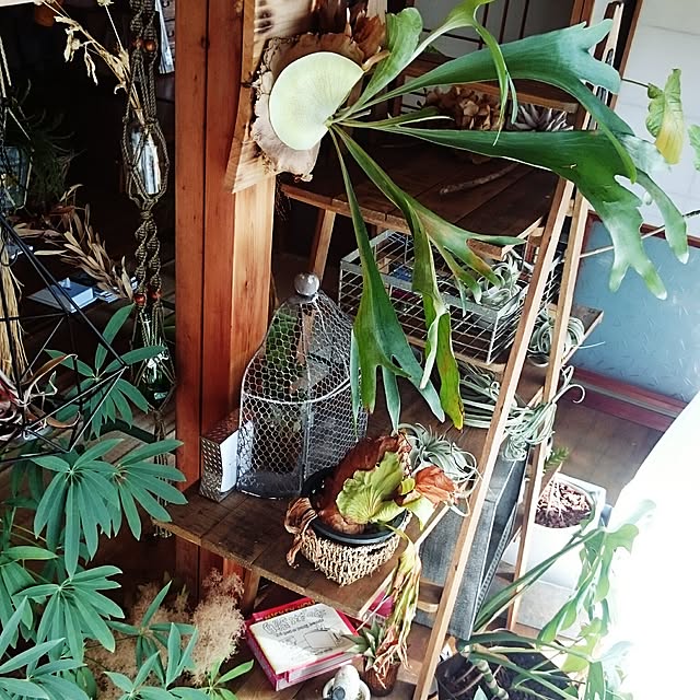 takenさんの実例写真
