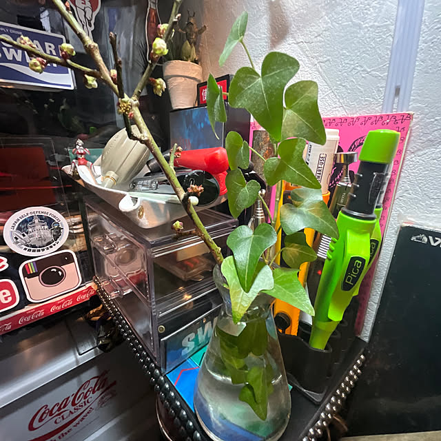 Vakiさんの実例写真