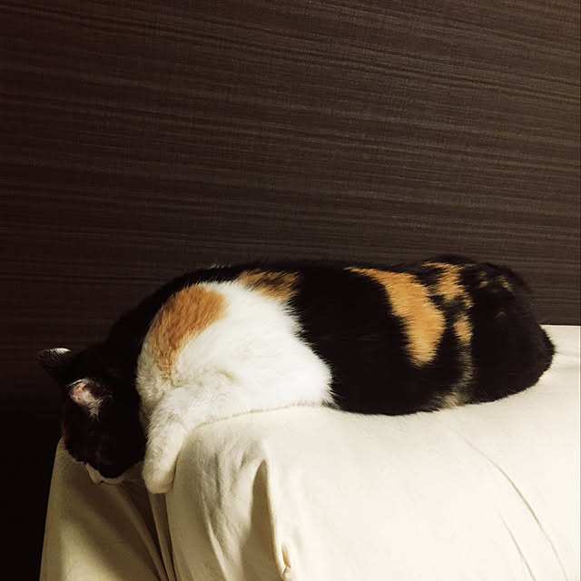 chikachikaさんの実例写真
