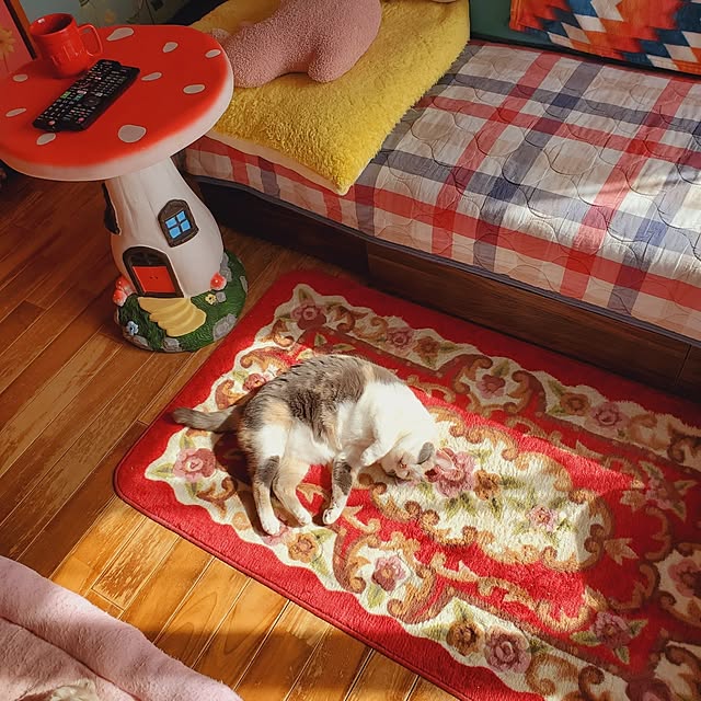 kumutanさんの実例写真