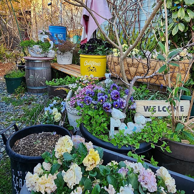 GreenHomeさんの部屋