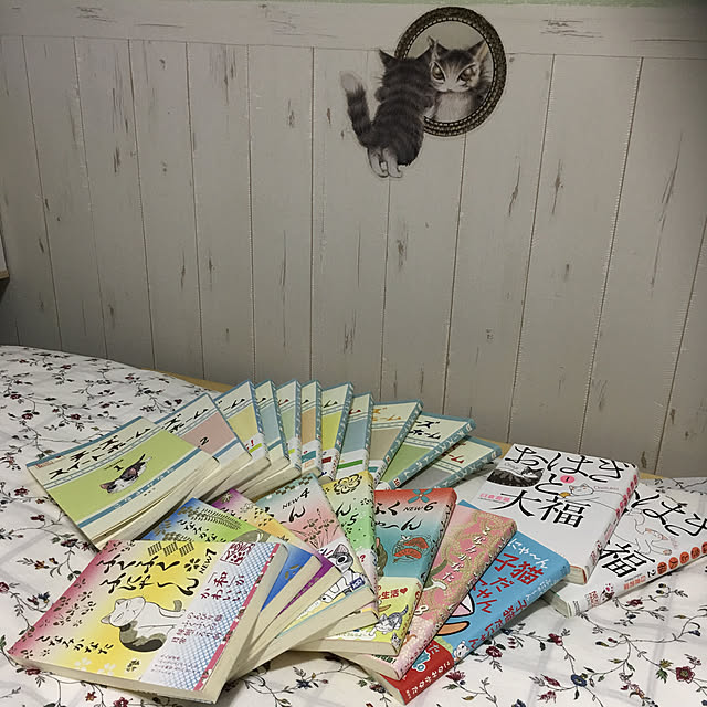 syutanさんの実例写真