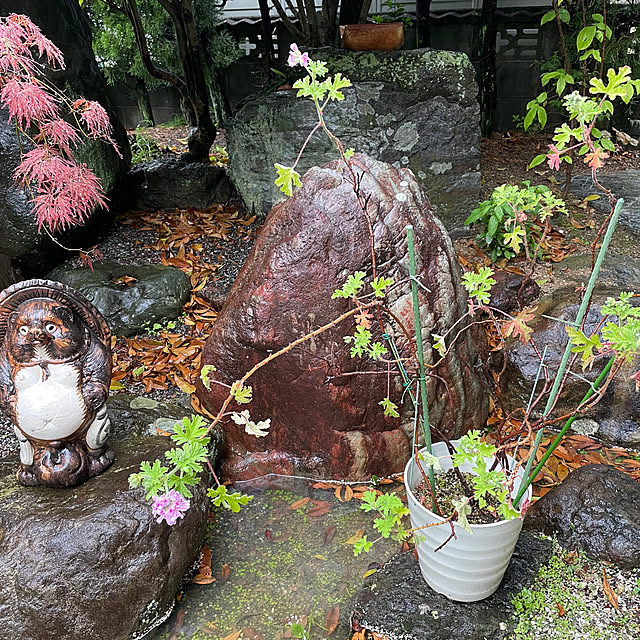 shin0719さんの部屋