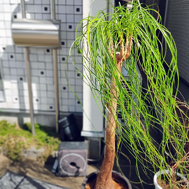 a.co.さんの実例写真