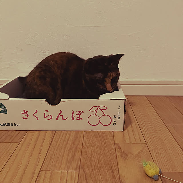 wahahaさんの実例写真