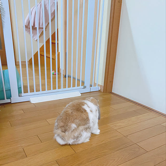 prelumoさんの実例写真