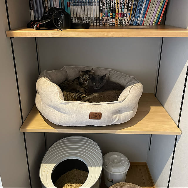tomo_ppgさんの実例写真