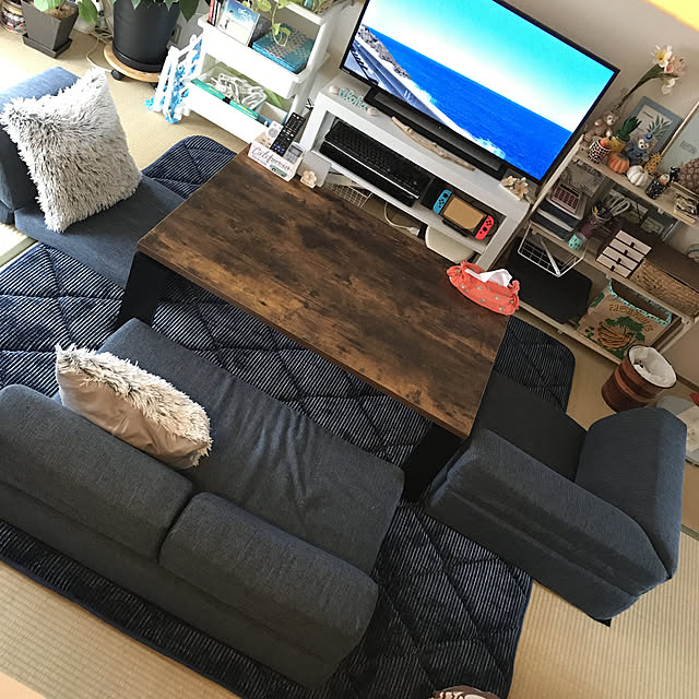 ariceさんの実例写真