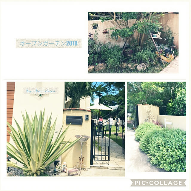 bu-bu-chanさんの実例写真