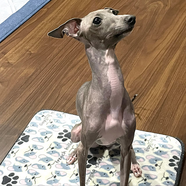 ikeyanさんの実例写真