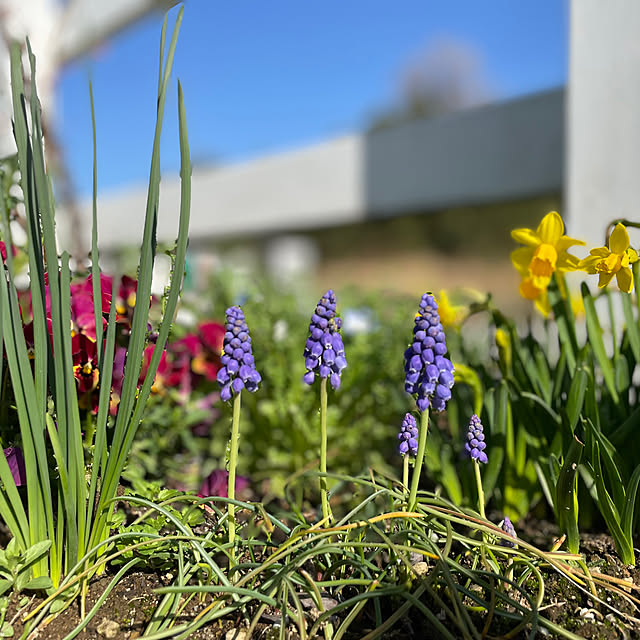 kmys0625さんの部屋