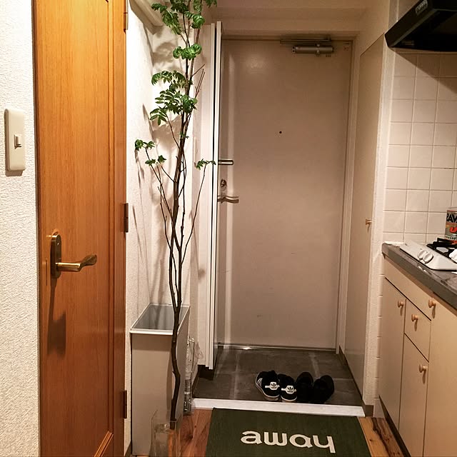 実例写真
