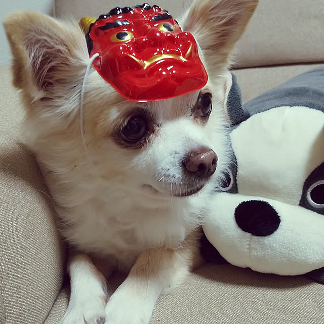 Chiharuさんの実例写真