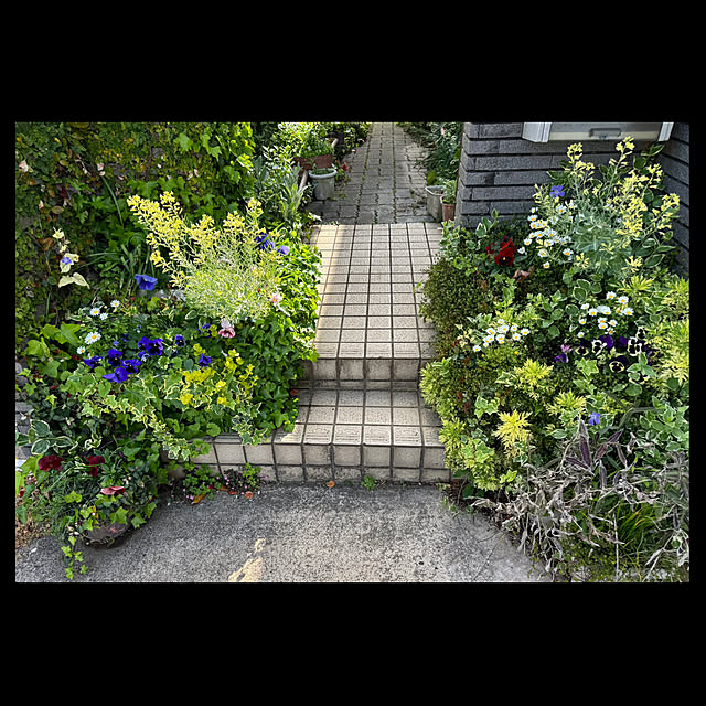 玄関/入り口/観葉植物/庭/ガーデニングのインテリア実例 - 2025-04-24 16:00:22