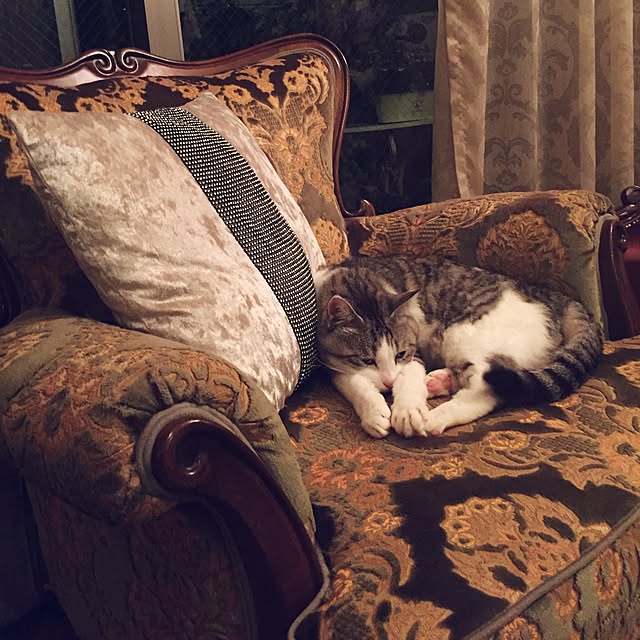 emmyyさんの実例写真