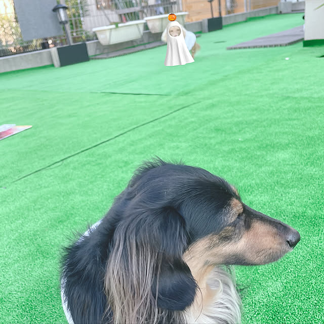 mikomugisaさんの実例写真
