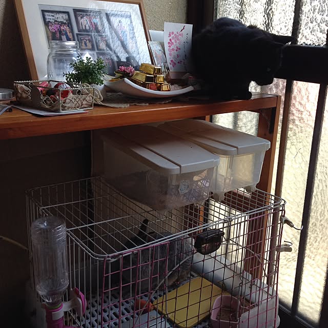 midoroさんの実例写真