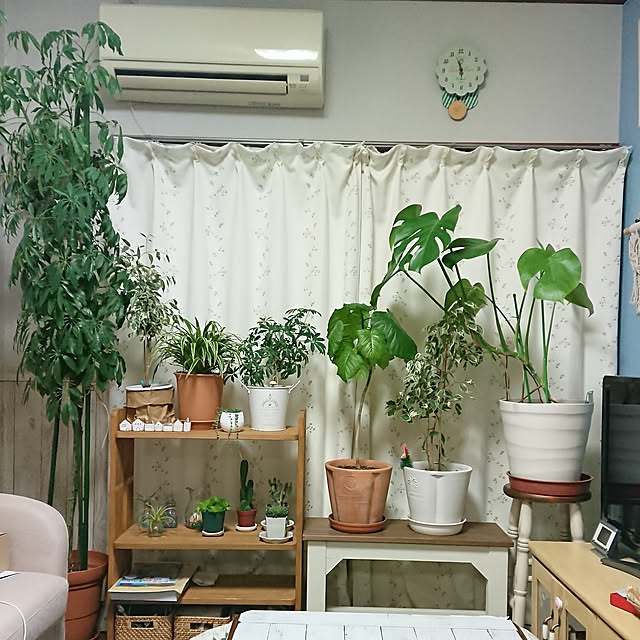 naopyiさんの実例写真