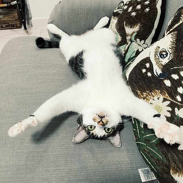 yuchiさんの実例写真