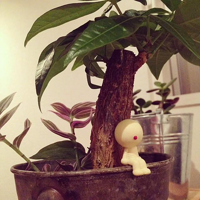 omisoさんの実例写真