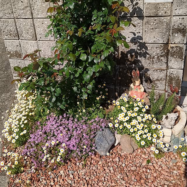 machikomamaさんの実例写真