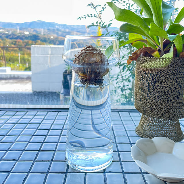 takhuisさんの実例写真