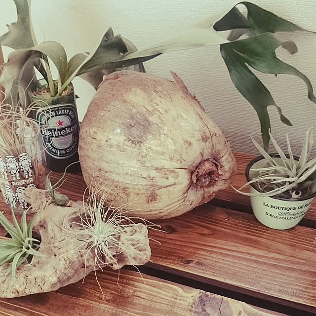 jopnjohnさんの実例写真