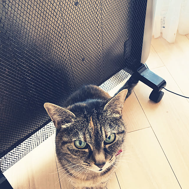 Miekoさんの実例写真