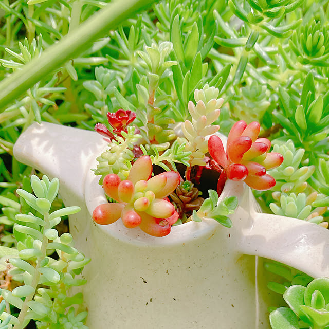 Hanakaさんの部屋