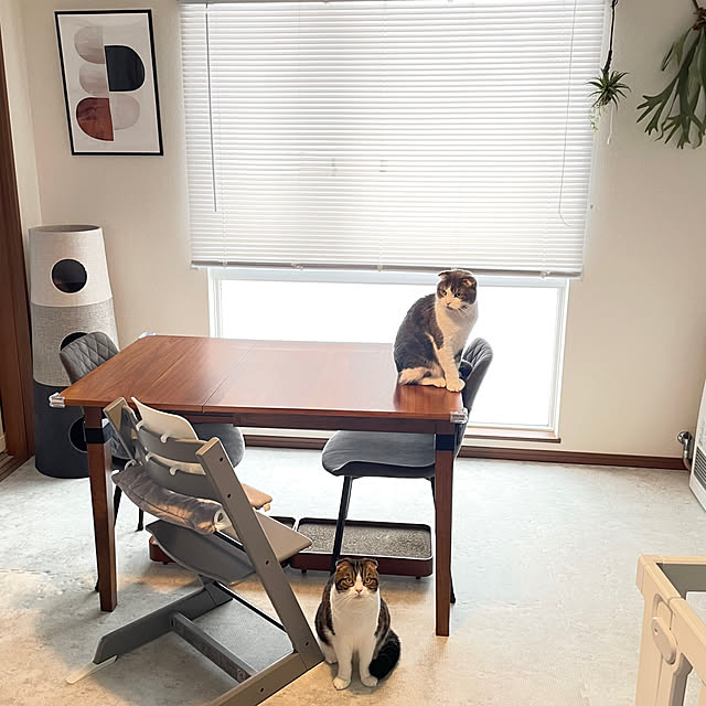 tansukeさんの実例写真