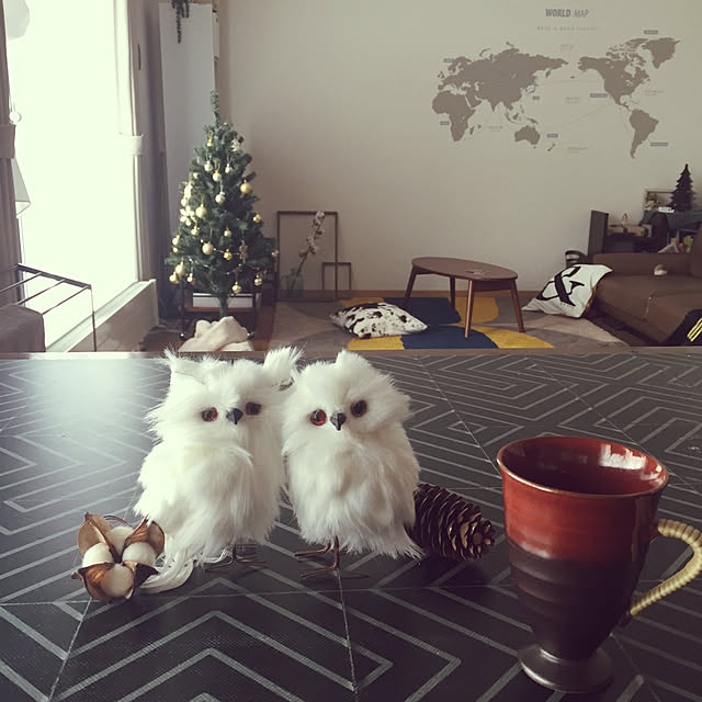 naojinさんの実例写真