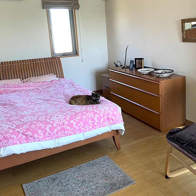 cocoさんの部屋