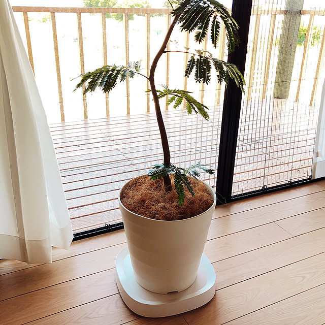 coco518さんの実例写真