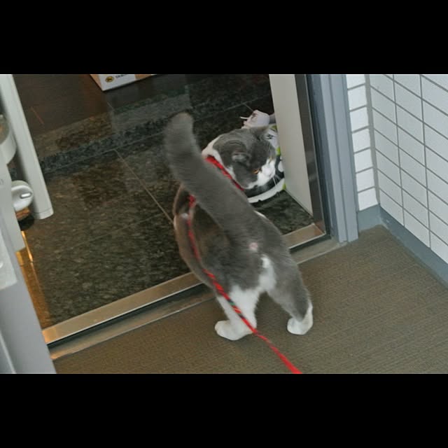 Yuriさんの実例写真