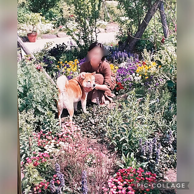 mamizaさんの実例写真