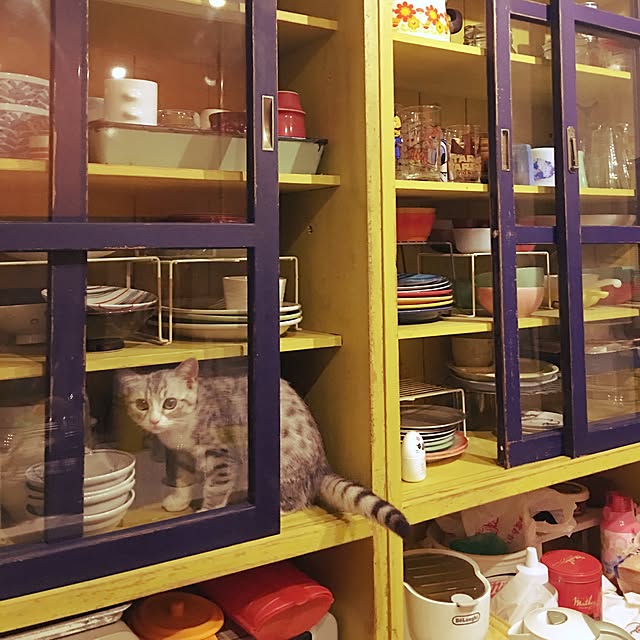 Shojiさんの実例写真