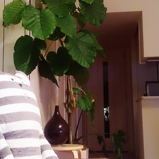 RM-mamaさんの実例写真