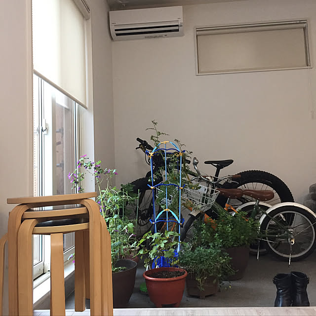 re_merryさんの実例写真