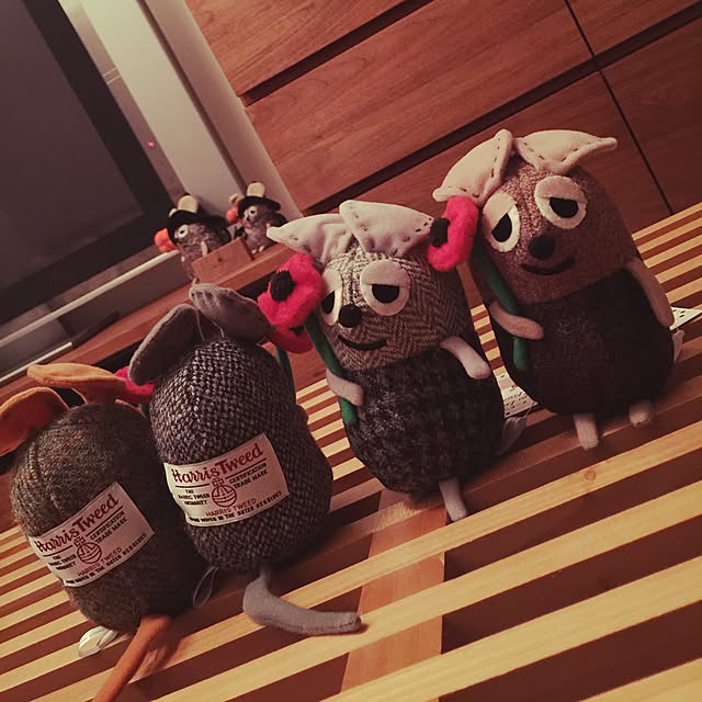 mASaYoukiさんの実例写真