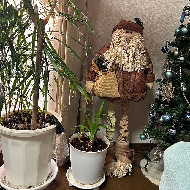 ritsukoさんの部屋