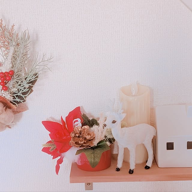 minmusumaxさんの実例写真