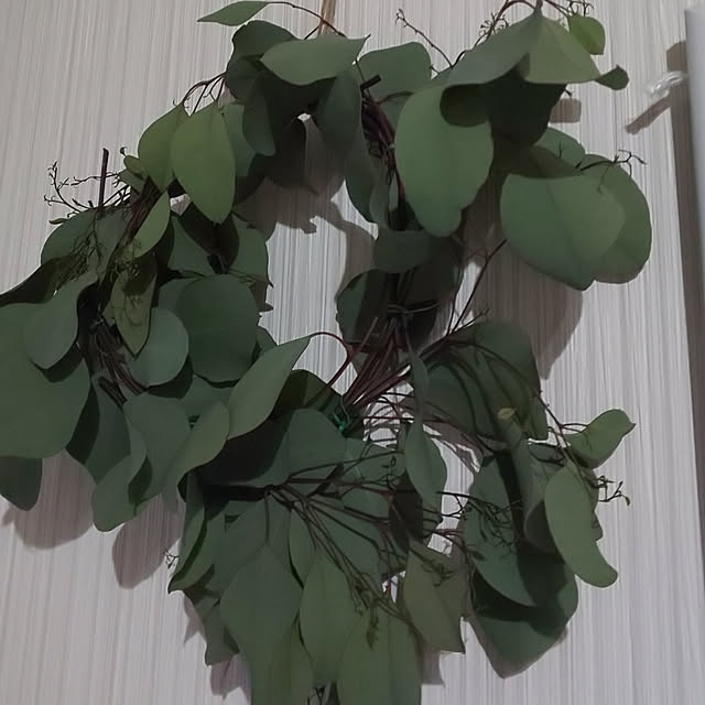 壁/天井/4人家族/観葉植物/ドライフラワー/ナチュラル...などのインテリア実例 - 2020-03-11 07:38:06
