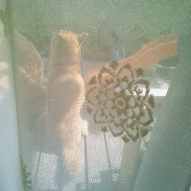 kotaさんの実例写真