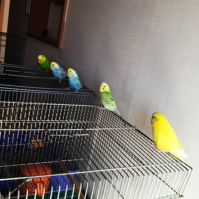 tuyochan410さんの実例写真