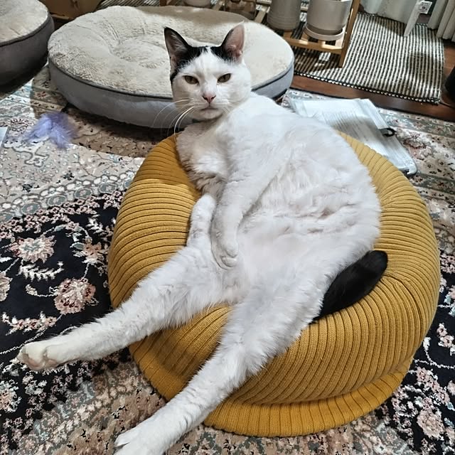 yuuさんの部屋