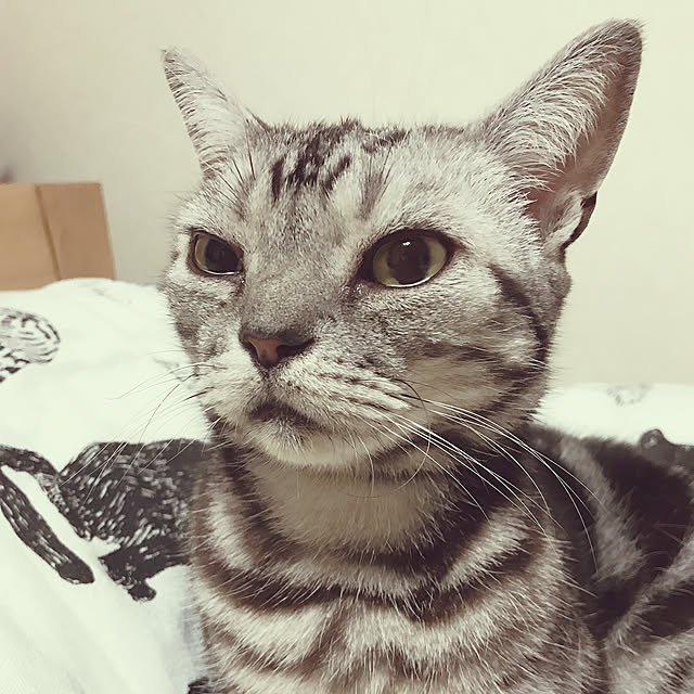 mirurunさんの実例写真