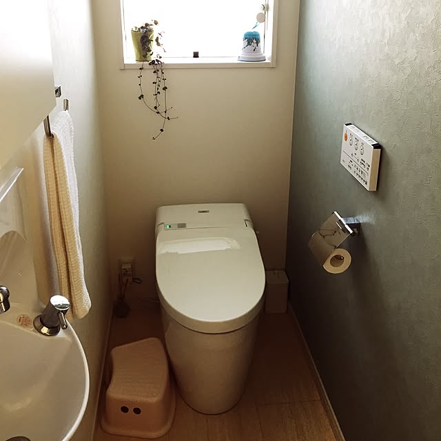 derellaさんの実例写真